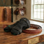 Lifestyle photo of Classic Equine MagNTX Hock Wrap - Therapeutic Magnetic Horse Wrap with 1 1/2" Bi-Polar Magnets