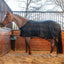 Classic Equine MagNTX Magnetic Horse Sheet - Therapeutic Bi-Polar Micromesh Recovery Blanket - Size Large