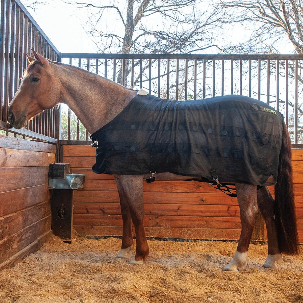 Classic Equine MagNTX Magnetic Horse Sheet - Therapeutic Bi-Polar Micromesh Recovery Blanket - Size Large
