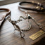 Lifestyle photo of Professional's Choice Ported Chain Bit - 5 1/8" Mouthpiece, 7.5" Shank for Horse Training and Collection