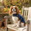 Shires Digby & Fox Premium Tweed Dog Coat -  Checkered Patterned Winter Jacket
