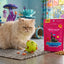 Giddy Kitty Cat Toys and Treats - Premium Interactive Play & Healthy Snacks for Your Barn Cat