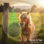 Cashel Hay Net - Slow Feeder Horse Forage Net - 3-Flake Capacity - Multiple Colors
