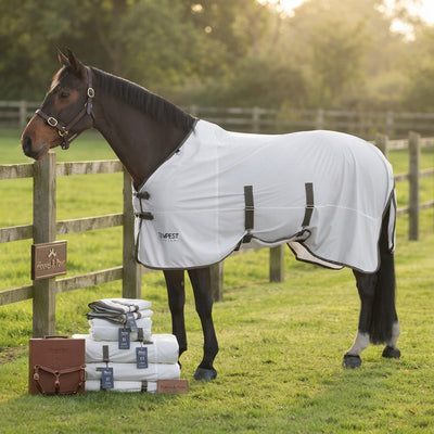 Lifestyle photo of Shires Tempest Original Standard Neck Fly Sheet - Breathable Mesh Protection - White/Khaki - Multiple Sizes