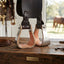Lifestyle photo of Martin Saddlery Metal Bound Wood Stirrups - 4" Deep Base, Stainless Steel Bound, Leather Lined Tread