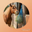 Shires Heavy Duty Haynet: Durable & Efficient Feeding for Horses