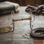 Lifestyle photo of Professional's Choice Laramie Snaffle Bit – Sweet Iron Transition