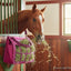 Classic Equine Topload Western Horse Hay Bag - Heavy Duty Waste-Reducing 2-3 Flake Capacity
