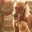 Cashel Hay Net - Slow Feeder Horse Forage Net - 3-Flake Capacity - Multiple Colors