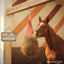 Weaver Leather 36" Slow Feed Hay Net - Reduce Waste & Improve Digestion