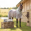 Lifestyle photo of Shires Highlander Fine Mesh Horse Fly Sheet with Detachable Neck Set - White/Sage - Multiple Sizes