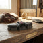 Lifestyle photo of Professional's Choice Tail Tamer Flex Pig Bristle Brush