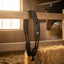 Professional's Choice TPU Horse Training Surcingle and Girth Set - Waterproof, Stainless Steel D-Rings, Neoprene Girth, Adjustable One Size