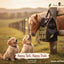 Classic Equine Moderate Feed Hay Bag - Top Load Slow Feeder with Mesh Bottom and Adjustable Straps