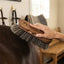 Lifestyle photo of Professional's Choice Large Dandy Wooden Horse Brush - Natural Horsehair Bristles, Ergonomic Paulownia Wood Handle
