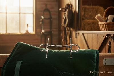Myler 5" 02 Stainless Steel Full Cheek with Hook #89-24025 horse bit resting on a green velvet saddle pad in a sunlit stable with equestrian gear and hay bales in the background.