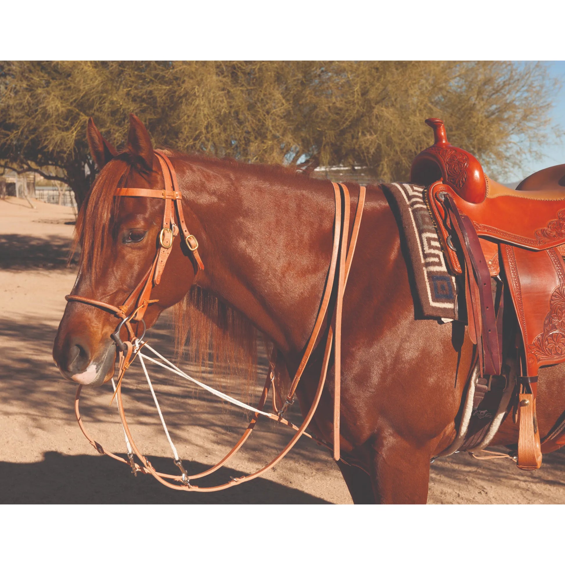 Al Dunning by Pro Choice Martingale with Split Reins (AD8059HL) in natural leather, shown on a chestnut horse. This high-quality western training tack features a running martingale and matching split reins paired with a tooled leather saddle and headstall. Ideal for western performance, reining, and everyday training, this professional-grade equestrian gear offers a classic look and durable functionality for horse and rider.