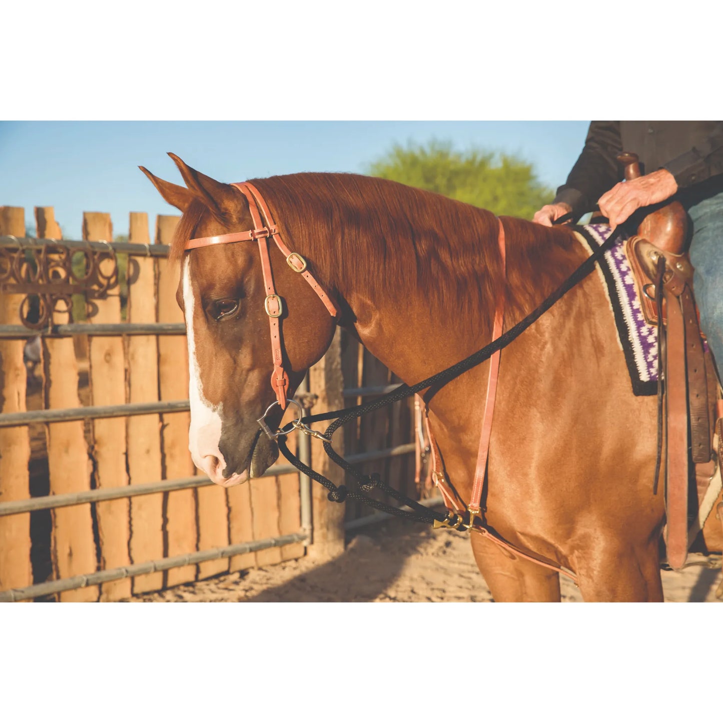 Al Dunning Pro Choice Draw Rope Martingale horse training aid shown on a chestnut horse. This western training equipment features a durable black rope design with premium leather attachments and brass hardware. Ideal for teaching collection and proper head carriage, it’s a versatile tool for performance horse trainers. Shown with a leather breast collar and headstall in a sunny outdoor arena setting.