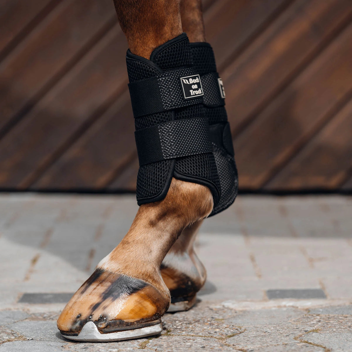 Back On Track 3D Mesh Splint (Brush) Boots