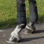 Back On Track 3D Mesh Splint (Brush) Boots