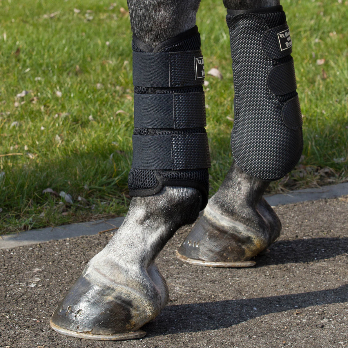 Back On Track 3D Mesh Splint (Brush) Boots