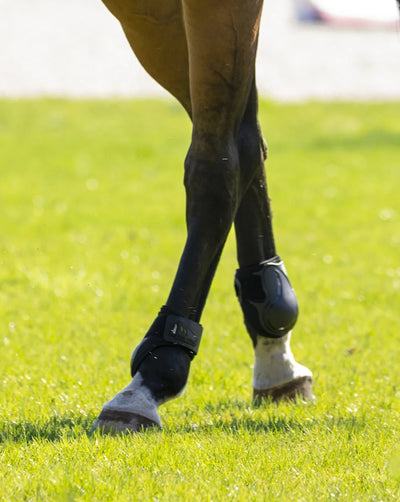 Back On Track Airflow Fetlock Boots