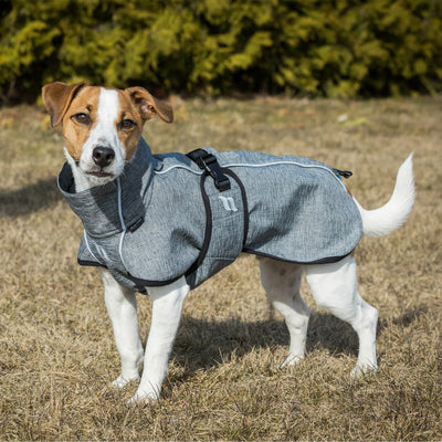 Back On Track Bark Reflective All-Around Dog Coat
