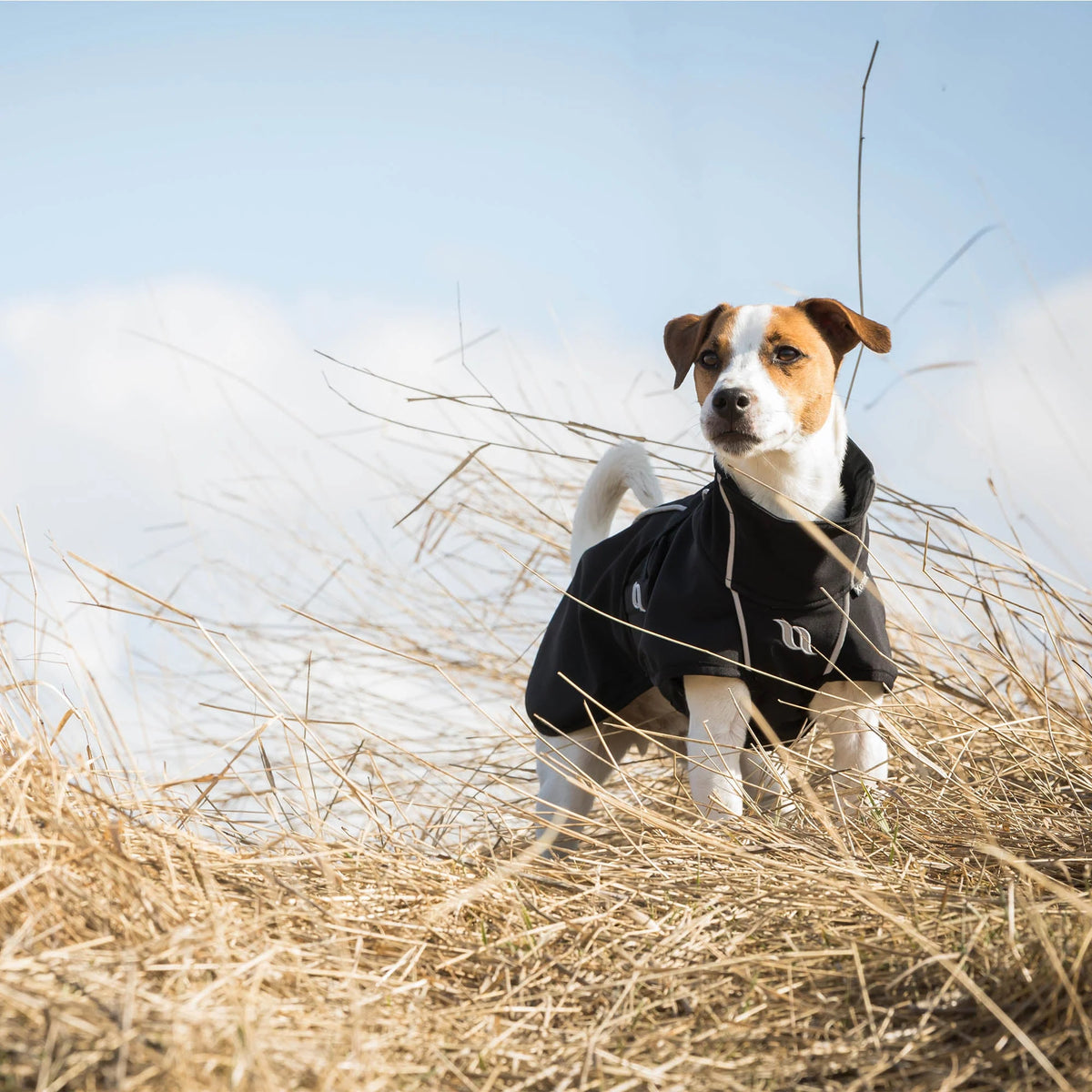 Back On Track Bark Reflective All-Around Dog Coat