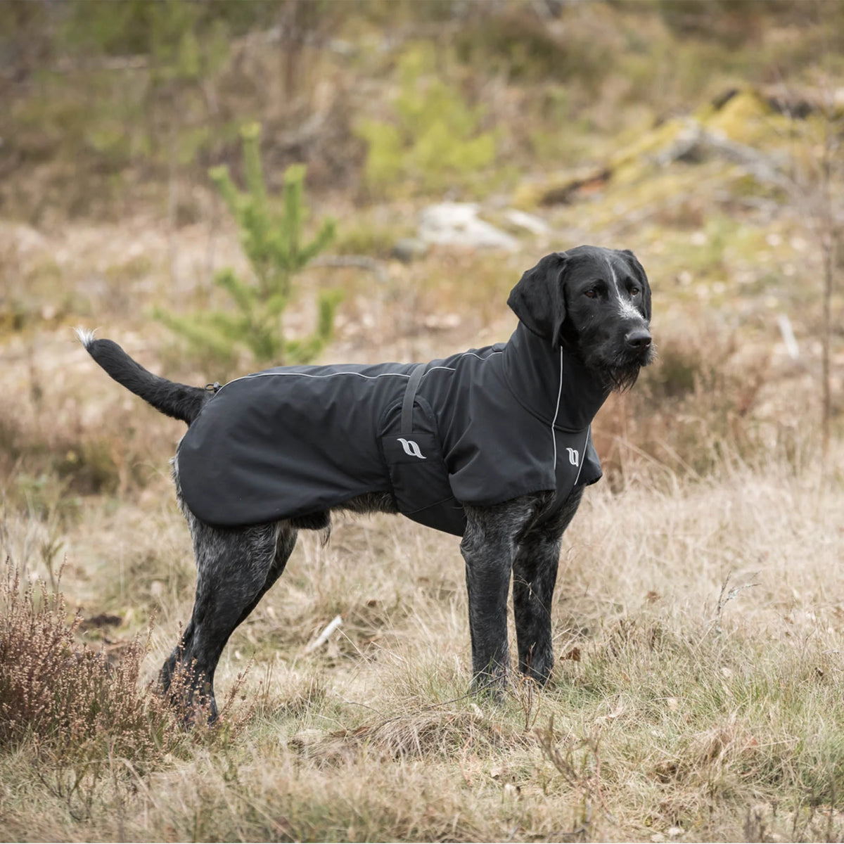 Back On Track Bark Reflective All-Around Dog Coat