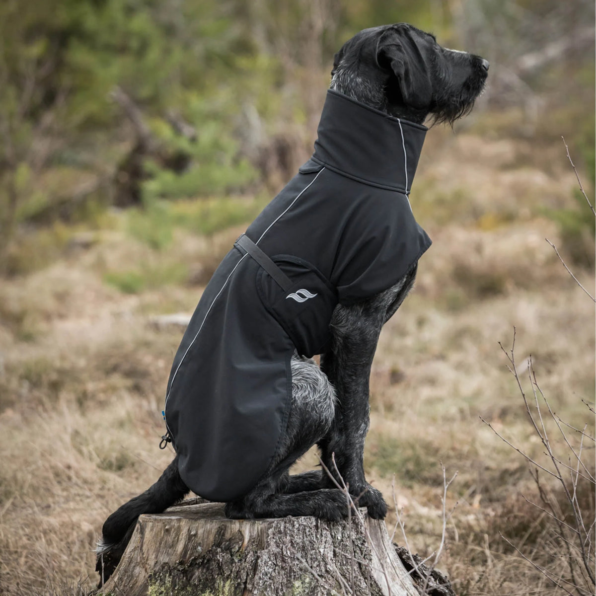 Back On Track Bark Reflective All-Around Dog Coat