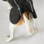 Back On Track Bark Reflective All-Around Dog Coat