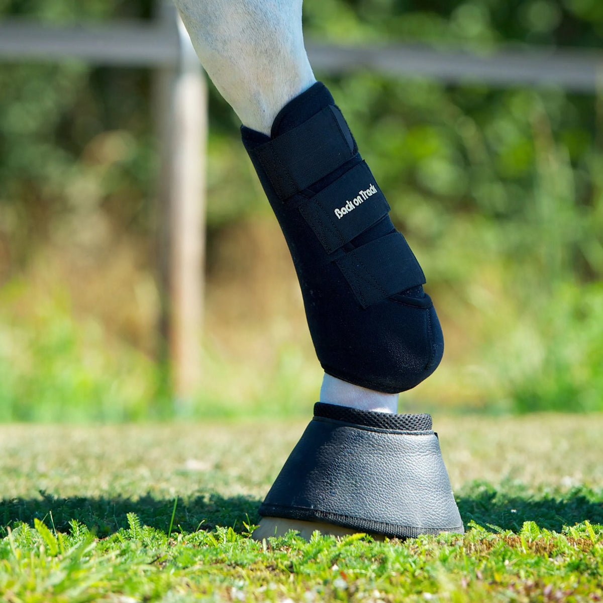 Back On Track Classic Exercise Boots