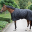 Back On Track Classic Turnout Sheet