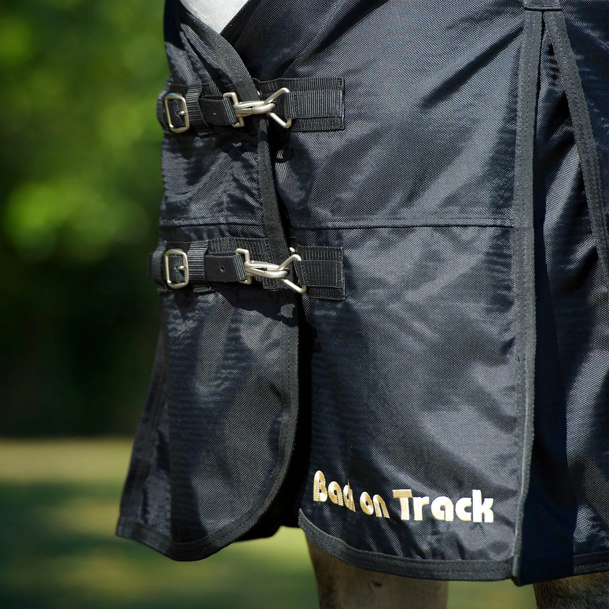 Back On Track Classic Turnout Sheet