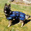 Back On Track Cool on Track Evaporative Cooling Dog Coat - Blue - Multiple Sizes