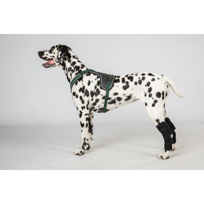 Back On Track Dixie Dog Hock Brace - Therapeutic Joint Support for Active Dogs - Multiple Sizes
