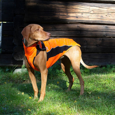 Back On Track Eddie High Visibility Reflective Orange Jumper for Dogs