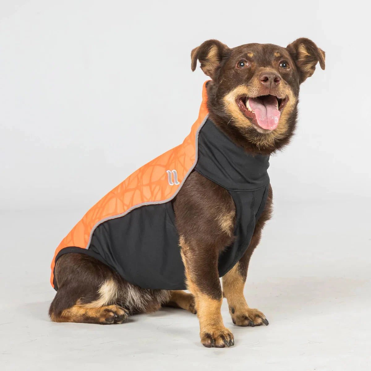 Back On Track Eddie Petite High Visibility Reflective Orange Jumper for Dogs