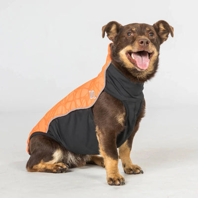 Back On Track Eddie Petite High Visibility Reflective Orange Jumper for Dogs