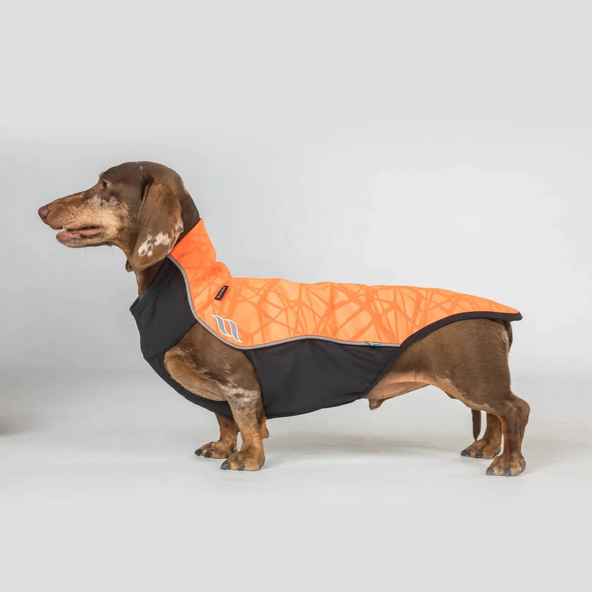 Back On Track Eddie Petite High Visibility Reflective Orange Jumper for Dogs