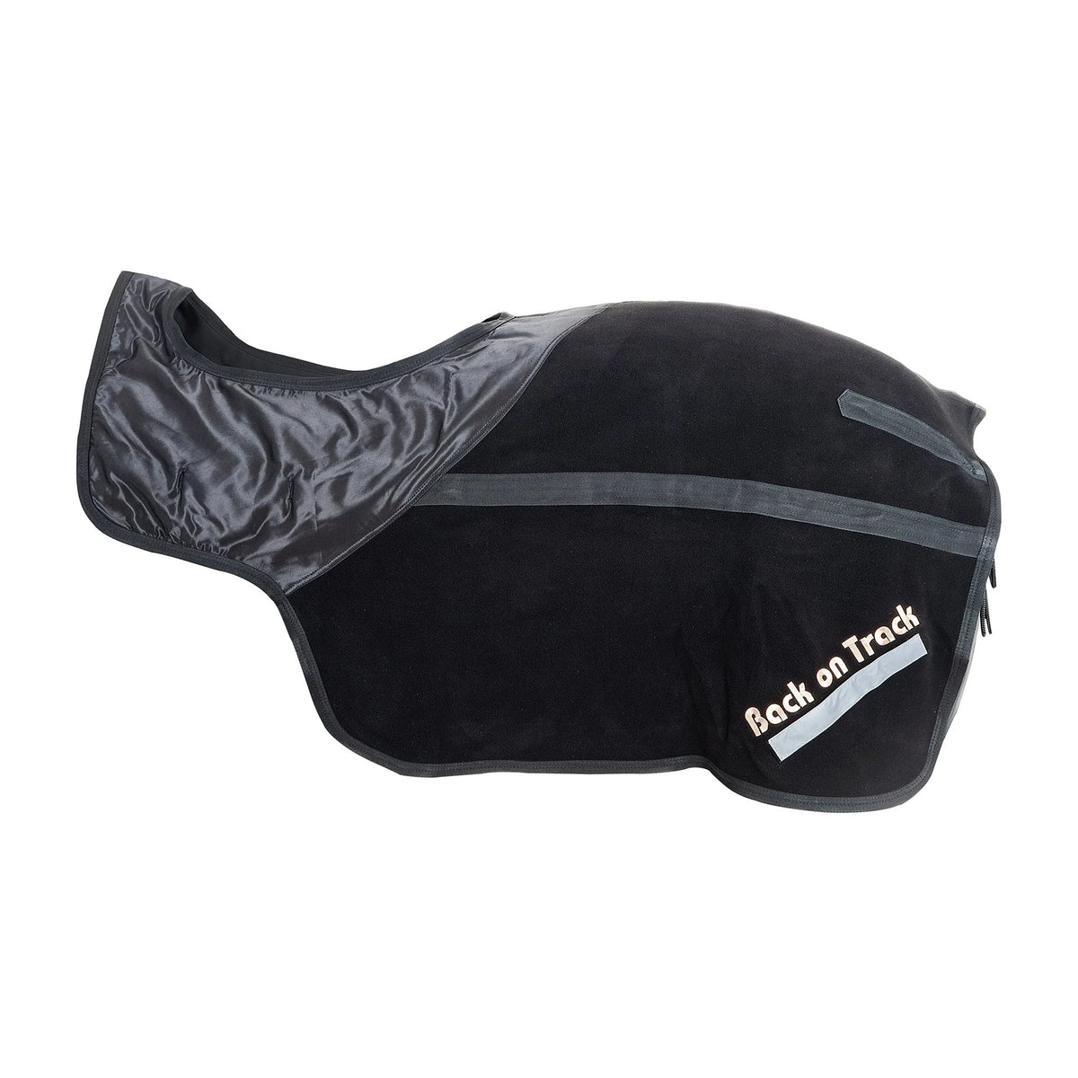 Back On Track Exercise Sheet - Fleece