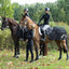 Back On Track Exercise Sheet - Fleece
