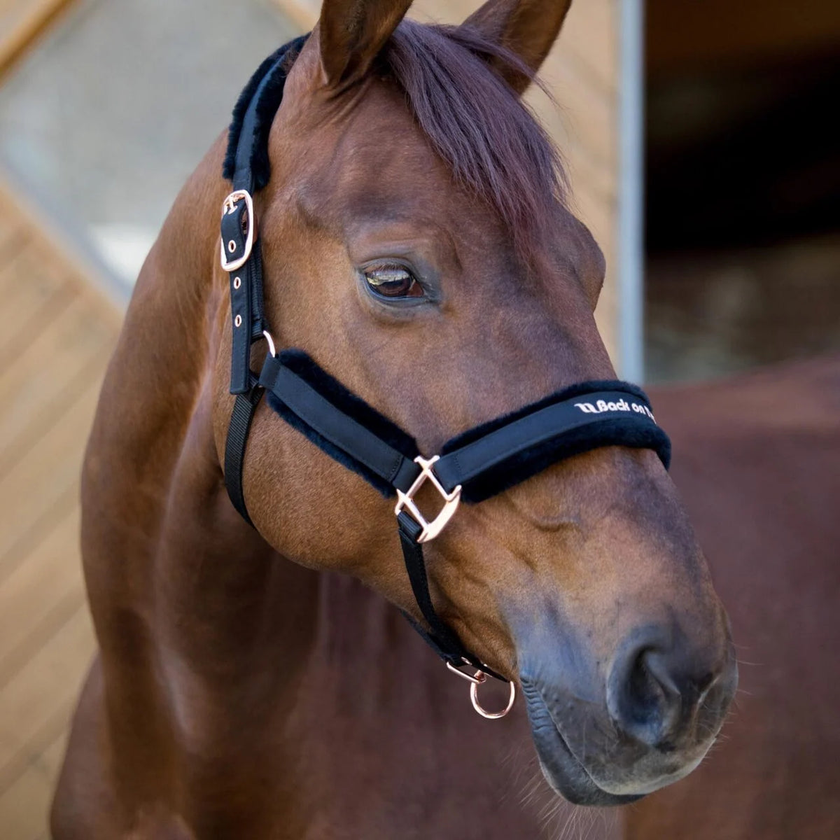 Back On Track Haze Collection Halter