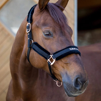 Back On Track Haze Collection Halter