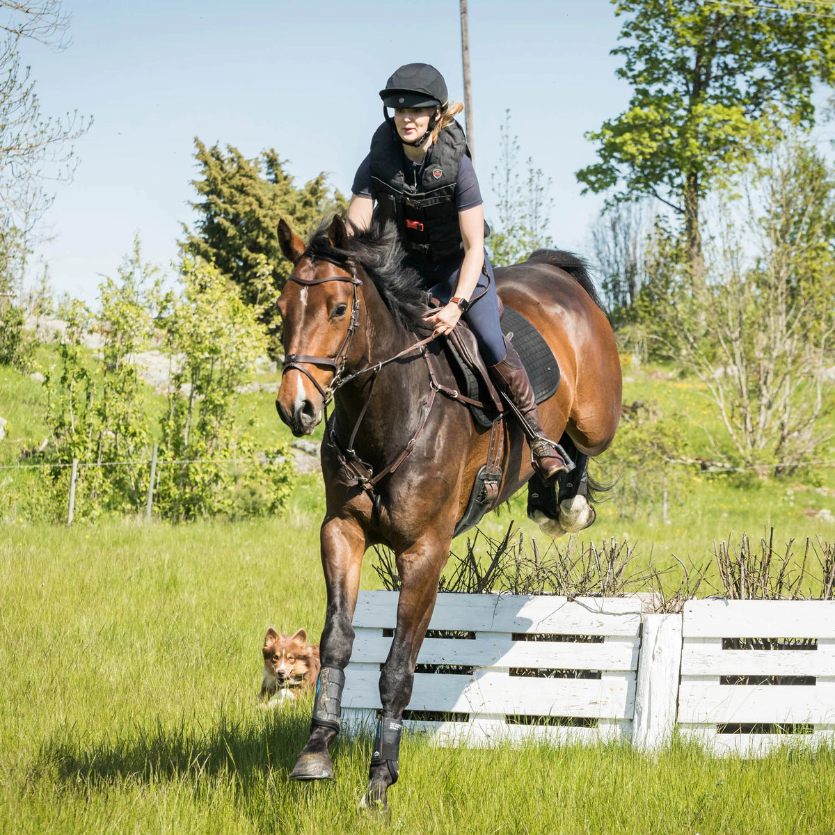 Back On Track Lynx Eventing Field Competition Helmet
