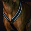 Back On Track Max Dog Harness