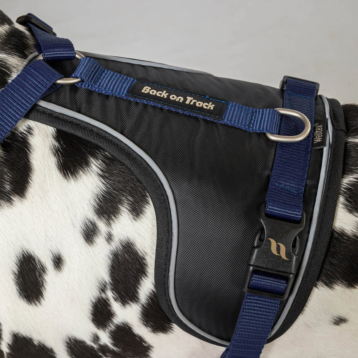 Back On Track Max Dog Harness