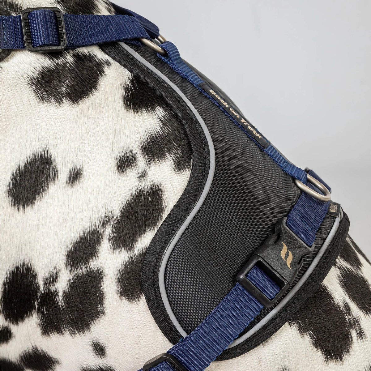 Back On Track Max Dog Harness