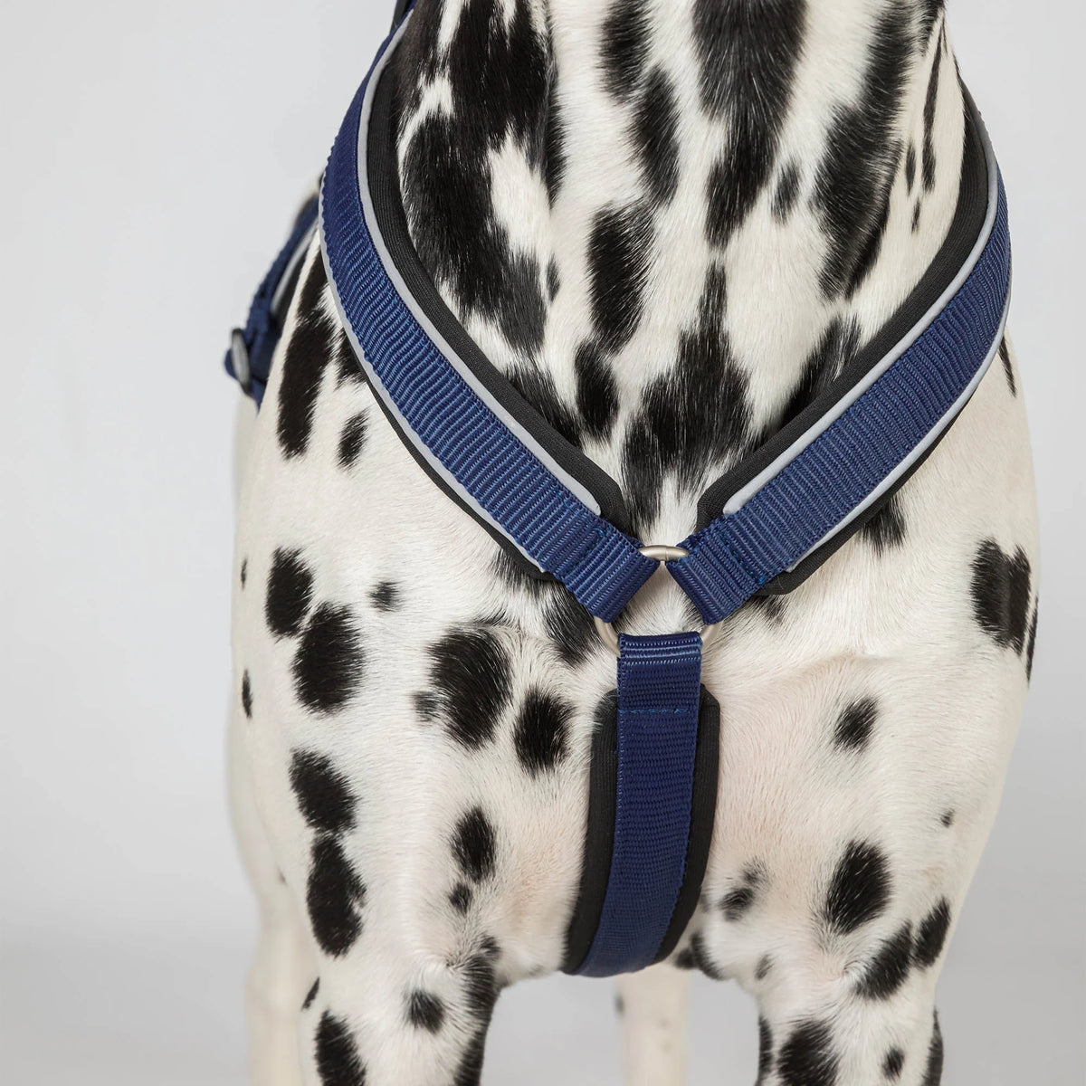 Back On Track Max Dog Harness