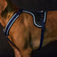 Back On Track Max Dog Harness